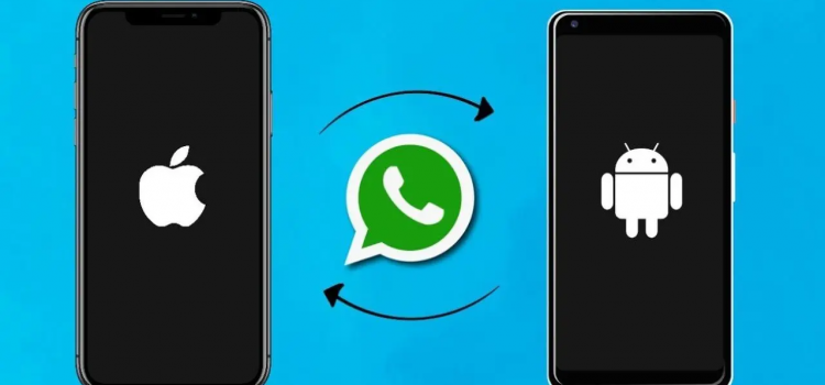 WhatsApp now lets you transfer your chat history from Android to iPhone – New Feature